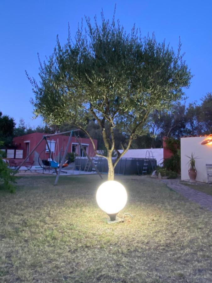 Casa Di Floumy Bed & Breakfast Calvi  Exterior photo