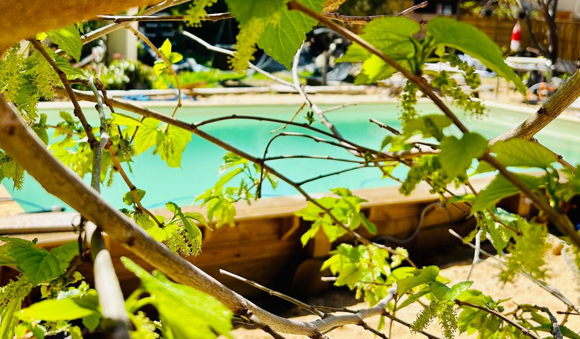 Casa Di Floumy Bed & Breakfast Calvi  Exterior photo
